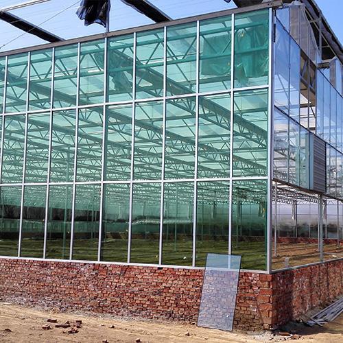 连栋玻璃温室.jpg