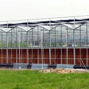 玻璃连栋温室.jpg