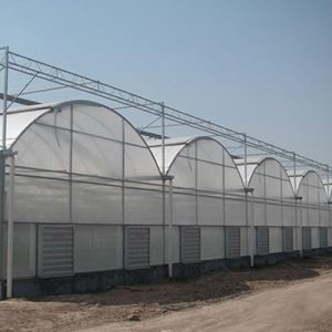 连栋薄膜国产精品放荡VIDEOS麻豆街 连栋薄膜国产精品放荡VIDEOS麻豆街