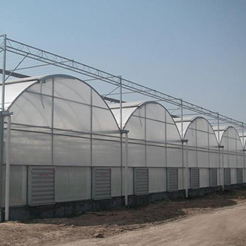 连栋温室国产精品放荡VIDEOS麻豆街 连栋温室国产精品放荡VIDEOS麻豆街